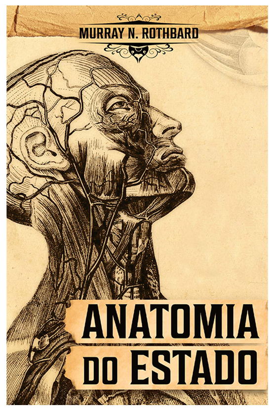 anatomia AL2